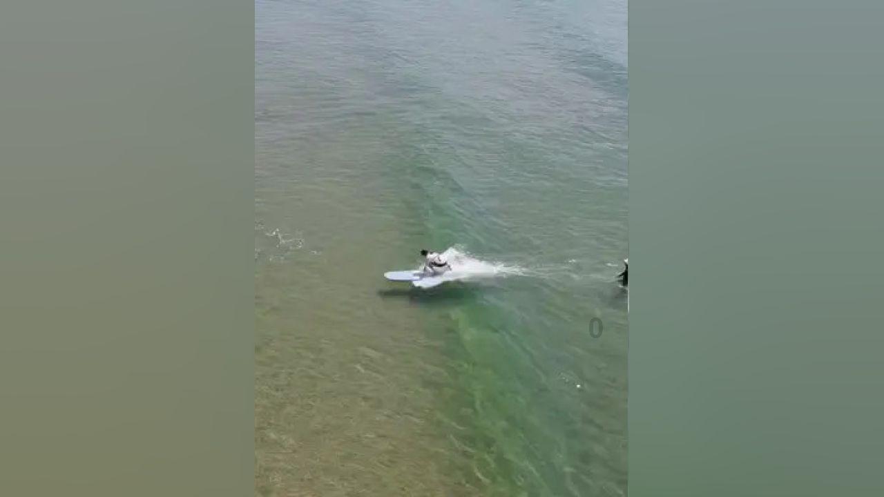 拯救巧虎2