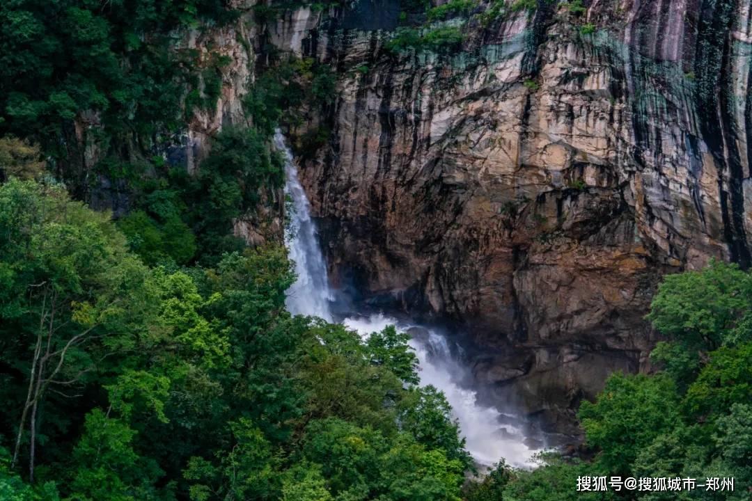 板栗好吃壳难剥，这个做法太赞了，个个自动脱皮，方便又完整游戏画面